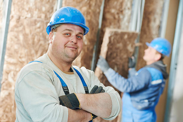 Best Insulation for Existing Homes  in Cherry Valley, IL